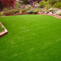 Artificial Grass Carpet Elfrida, Arizona Lawn And Landscape, Backyard