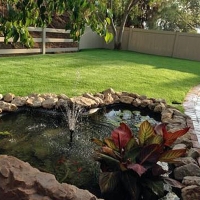 Artificial Grass Carpet Fort Thomas, Arizona Landscape Ideas, Kids Swimming Pools