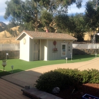 Artificial Grass Nutrioso, Arizona City Landscape, Commercial Landscape