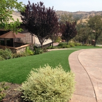 Artificial Lawn Surprise, Arizona Gardeners, Front Yard Landscaping Ideas