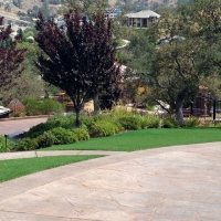 Artificial Turf Cost Carrizo, Arizona Landscape Photos, Front Yard Ideas