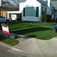 Artificial Turf Installation Taylor, Arizona Landscape Photos, Front Yard Design