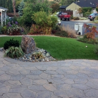 Best Artificial Grass Flowing Wells, Arizona Gardeners, Front Yard Ideas