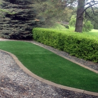 Best Artificial Grass Rillito, Arizona Landscape Photos