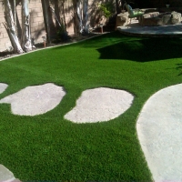 Fake Grass Carpet Ventana, Arizona Backyard Playground, Backyards