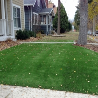 Fake Grass Freedom Acres, Arizona City Landscape, Front Yard Landscaping Ideas