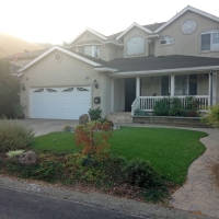 Fake Turf Ali Chukson, Arizona Garden Ideas, Front Yard Ideas