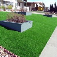 Fake Turf East Fork, Arizona Landscaping, Front Yard