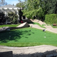 Fake Turf San Simon, Arizona Putting Green Flags, Small Backyard Ideas