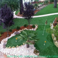 Fake Turf Tucson, Arizona Putting Green Flags, Backyard Design