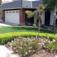 Faux Grass Cave Creek, Arizona Lawn And Garden, Front Yard Ideas