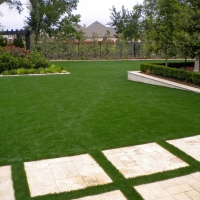 Faux Grass Comobabi, Arizona Landscape Ideas, Backyard Landscape Ideas