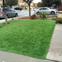 Faux Grass Elfrida, Arizona Landscape Photos, Front Yard Ideas