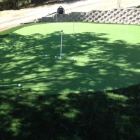 Faux Grass Rio Rico, Arizona Artificial Putting Greens, Backyard Designs