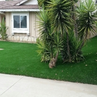 Grass Carpet Charco, Arizona Design Ideas, Front Yard Ideas