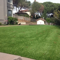 Grass Carpet Gila Bend, Arizona Gardeners, Backyard Landscape Ideas