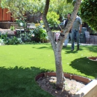 Grass Carpet Spring Valley, Arizona Landscape Photos, Backyards