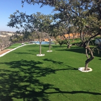 Grass Installation Elgin, Arizona Putting Green, Small Backyard Ideas