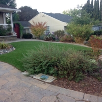 Grass Installation Joseph City, Arizona Home And Garden, Front Yard Ideas