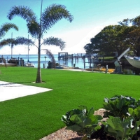 Green Lawn Pine, Arizona Rooftop, Backyard Landscaping