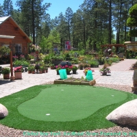 Green Lawn South Tucson, Arizona Indoor Putting Greens, Backyard Garden Ideas