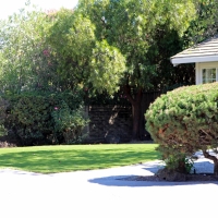 Lawn Services Kino Springs, Arizona Lawns, Front Yard Ideas