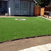 Outdoor Carpet Bear Flat, Arizona Lawn And Garden, Front Yard Ideas