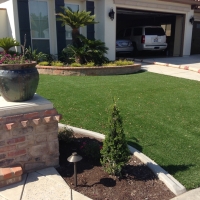 Plastic Grass Buckeye, Arizona Rooftop, Front Yard