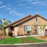 Plastic Grass Surprise, Arizona Gardeners, Front Yard Landscaping