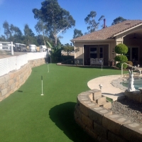 Synthetic Grass Avra Valley, Arizona Backyard Playground, Backyard Landscape Ideas