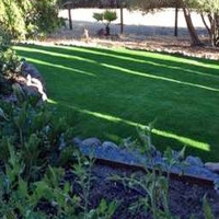 Synthetic Grass Cost Ak Chin, Arizona Lawns, Backyard Garden Ideas