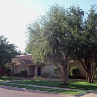 Synthetic Grass Cost Gisela, Arizona Gardeners, Front Yard