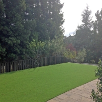 Synthetic Grass Peoria, Arizona Garden Ideas, Small Backyard Ideas