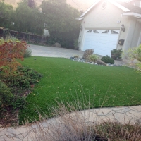 Synthetic Lawn Arivaca Junction, Arizona Rooftop, Front Yard Landscape Ideas