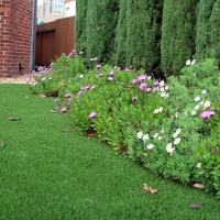 Synthetic Lawn Scottsdale, Arizona Landscape Photos, Front Yard Landscaping