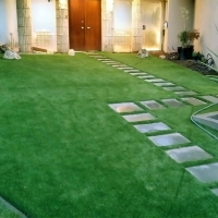 Synthetic Turf Apache Junction, Arizona Rooftop, Landscaping Ideas For Front Yard