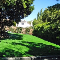 Synthetic Turf Nogales, Arizona Gardeners, Backyard