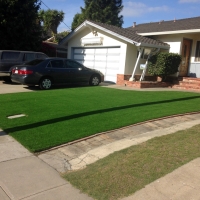 Synthetic Turf Pinedale, Arizona Lawn And Garden, Front Yard Landscape Ideas