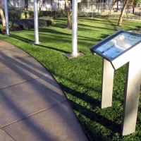 Turf Grass Elgin, Arizona Roof Top, Recreational Areas