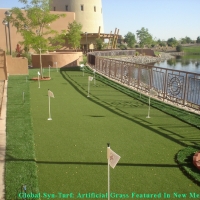 Turf Grass Flowing Wells, Arizona Design Ideas, Backyard Landscaping Ideas