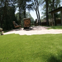 Turf Grass Wittmann, Arizona Landscape Ideas, Backyard Garden Ideas