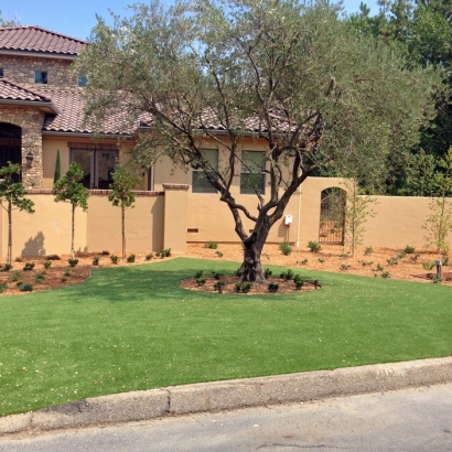 Artificial Grass Carpet Ajo, Arizona Landscaping, Front Yard Ideas