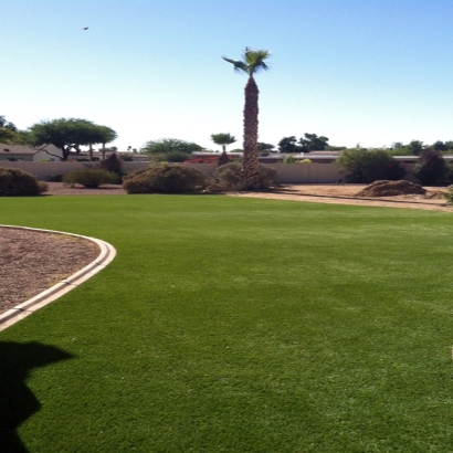 Artificial Grass Carpet Ak Chin, Arizona Design Ideas, Backyard Ideas