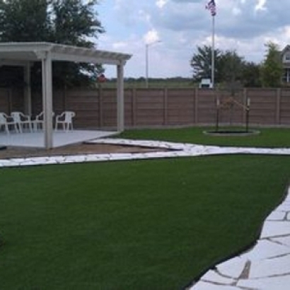 Artificial Grass Carpet Globe, Arizona Landscape Ideas, Backyard Garden Ideas