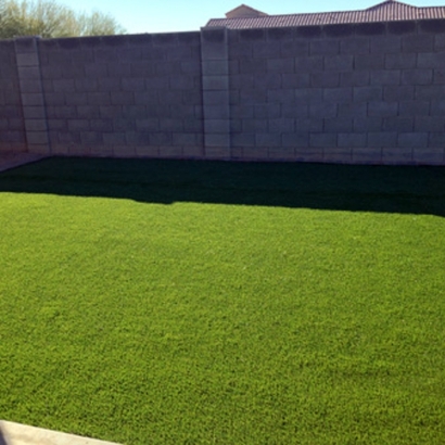 Artificial Grass Carpet McNeal, Arizona Garden Ideas, Backyard Landscaping Ideas