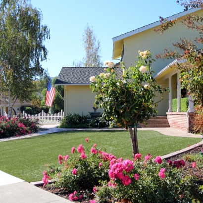 Artificial Grass Carpet Rio Verde, Arizona Gardeners, Small Front Yard Landscaping