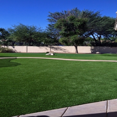 Artificial Grass Carpet Santa Cruz, Arizona Roof Top, Front Yard Landscaping Ideas