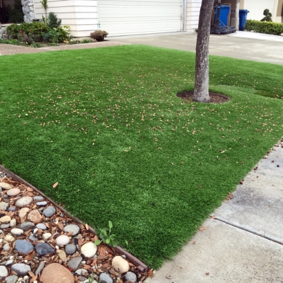 Artificial Grass Naco, Arizona Landscape Design, Small Front Yard Landscaping