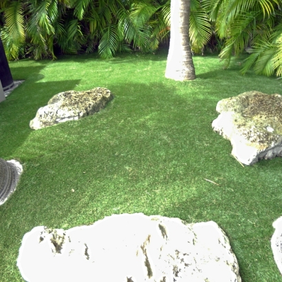 Artificial Grass Saint David, Arizona Home And Garden, Backyard Makeover