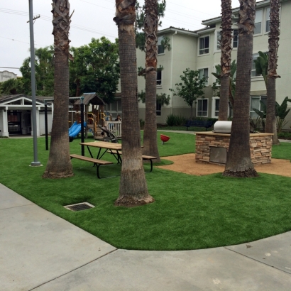 Artificial Grass Superior, Arizona Roof Top, Commercial Landscape